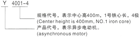 西安泰富西玛Y系列(H355-1000)高压YE2-100L2-8三相异步电机型号说明