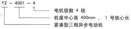 YR系列(H355-1000)高压YE2-100L2-8三相异步电机西安西玛电机型号说明